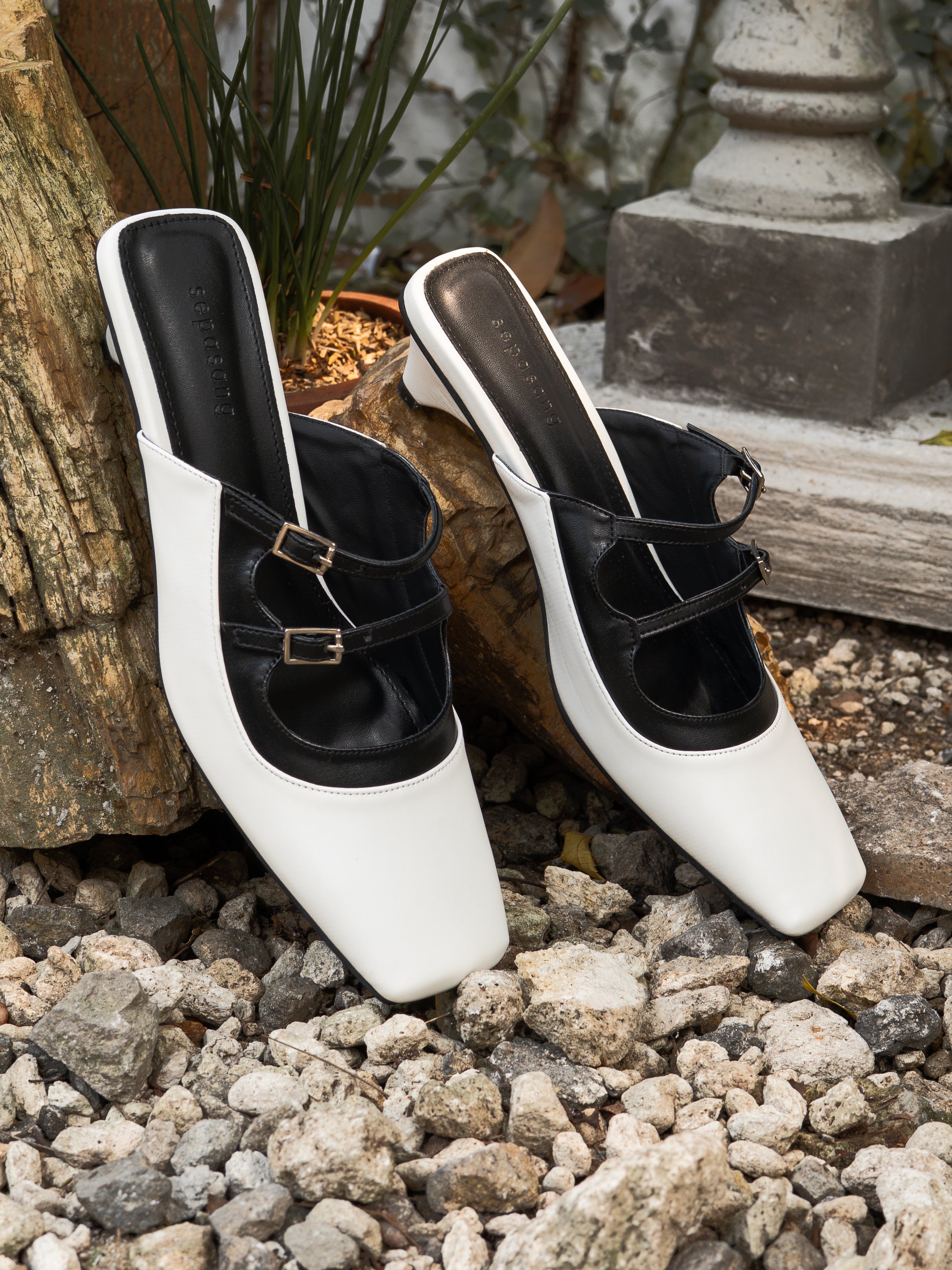 Tenxi Mules