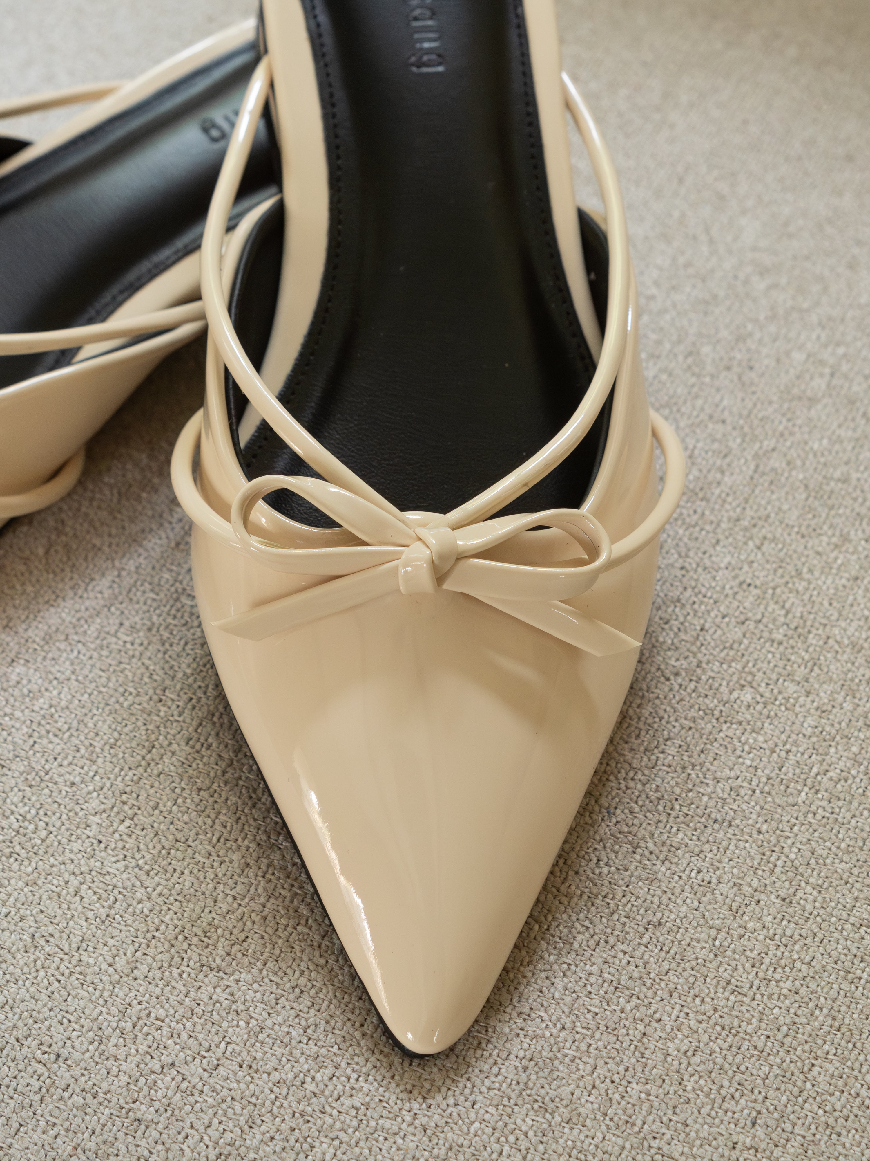 Ashley Mules
